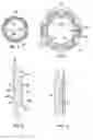 Fig. 03 - Auto-adapting tube fitting