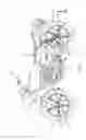 Fig. 02 - Wheel assembly for a vehicle