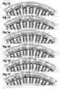 Fig. 06 - High power two speed electric motor
