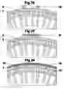 Fig. 09 - High power two speed electric motor