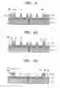Fig. 06 - Plasma display panel and method of manufacturing partitions thereof