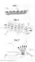 Fig. 03 - Light emitting device with photonic crystal