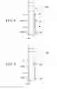Fig. 05 - Lighting device and lighting system