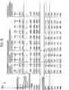 Fig. 06 - Selector circuit for power management in multiple battery systems