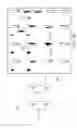 Fig. 06 - Method and apparatus for diagnosing broken scan chain based on leakage light emission