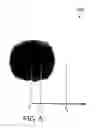 Fig. 06 - Apparatus and methods for stenciling an image