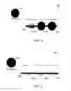 Fig. 09 - Apparatus and methods for stenciling an image