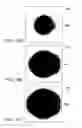 Fig. 16 - Apparatus and methods for stenciling an image