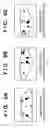 Fig. 07 - Marker layout method, mixed reality apparatus, and mixed reality space image generation method