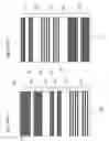 Fig. 101 - Drive method of el display apparatus