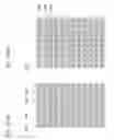Fig. 80 - Drive method of EL display panel