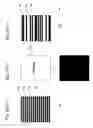 Fig. 99 - Drive method of EL display panel
