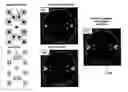 Fig. 01 - Source optimization for image fidelity and throughput
