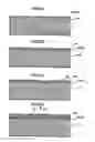 Fig. 04 - Manufacturing method of actuator device and liquid jet apparatus provided with actuator device formed by manufacturing method of the same