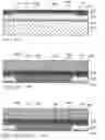 Fig. 48 - Inkjet nozzle chamber with electrostatically attracted plates