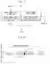Fig. 05 - Image enhancement device and image enhancement method of thermal printer