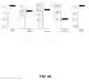 Fig. 46 - System and method to enhance the quality of digital images