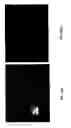 Fig. 17 - Methods and apparatus for capturing images with a multi-image lens
