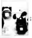 Fig. 19 - Methods and apparatus for capturing images with a multi-image lens