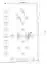 Fig. 08 - Method and system for quantized historical motion for motion detection in motion adaptive deinterlacer
