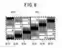 Fig. 09 - Semi-transmissive LCD device having a reflector with irregularity pattern and method of fabricating same