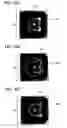 Fig. 41 - Liquid crystal display having reflection electrodes