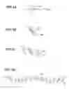 Fig. 04 - Liquid crystal display device