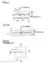 Fig. 25 - Light separation device, blazed grating device, diffraction grating device, and illumination optical system