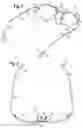 Fig. 02 - Hingeless eyeglasses frame