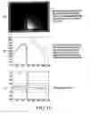 Fig. 07 - Projection system with corrective image transformation