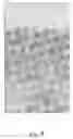 Fig. 10 - Dot analysis device, dot analysis program storage medium, and dot analysis method