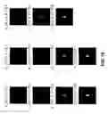 Fig. 16 - System and method for calibrating a spatial light modulator array using shearing interferometry