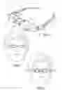 Fig. 02 - Binocular virtual display imaging device
