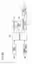 Fig. 24 - Air conditioning apparatus and ion generating device for use therein