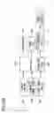 Fig. 27 - Air conditioning apparatus and ion generating device for use therein