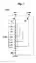 Fig. 06 - Electronic lighting unit and photographic equipment with the electronic lighting unit