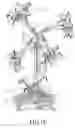 Fig. 12 - Artificial miniature, landscape model with three dimensionally variable colored LEDS