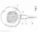 Fig. 03 - Lamp structure