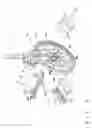 Fig. 04 - Luminous warning device for making presence of a vehicle conspicuous