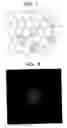 Fig. 05 - Diffuser panel and optical apparatus which uses this diffuser panel