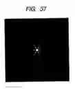 Fig. 22 - Diffuser panel and optical apparatus which uses this diffuser panel