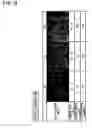 Fig. 37 - Light guiding panel formed with minute recesses by a sand blasting process and a backlight unit using the same