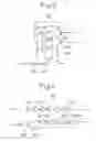 Fig. 03 - Fuse circuit and semiconductor integrated circuit device