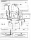 Fig. 07 - Portable memory storage devices containing public context application layers