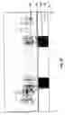 Fig. 19 - PAA-based etchant, methods of using same, and resultant structures