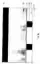 Fig. 20 - PAA-based etchant, methods of using same, and resultant structures