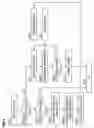 Fig. 05 - Relay apparatus, communication system and relay method