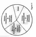 Fig. 12 - Port label switching