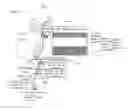 Fig. 07 - Method and apparatus for route optimisation in nested mobile networks