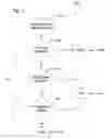 Fig. 02 - Message filtering method